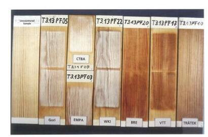 照片2：在7種暴露循環(huán)結束時的涂料系統(tǒng)F